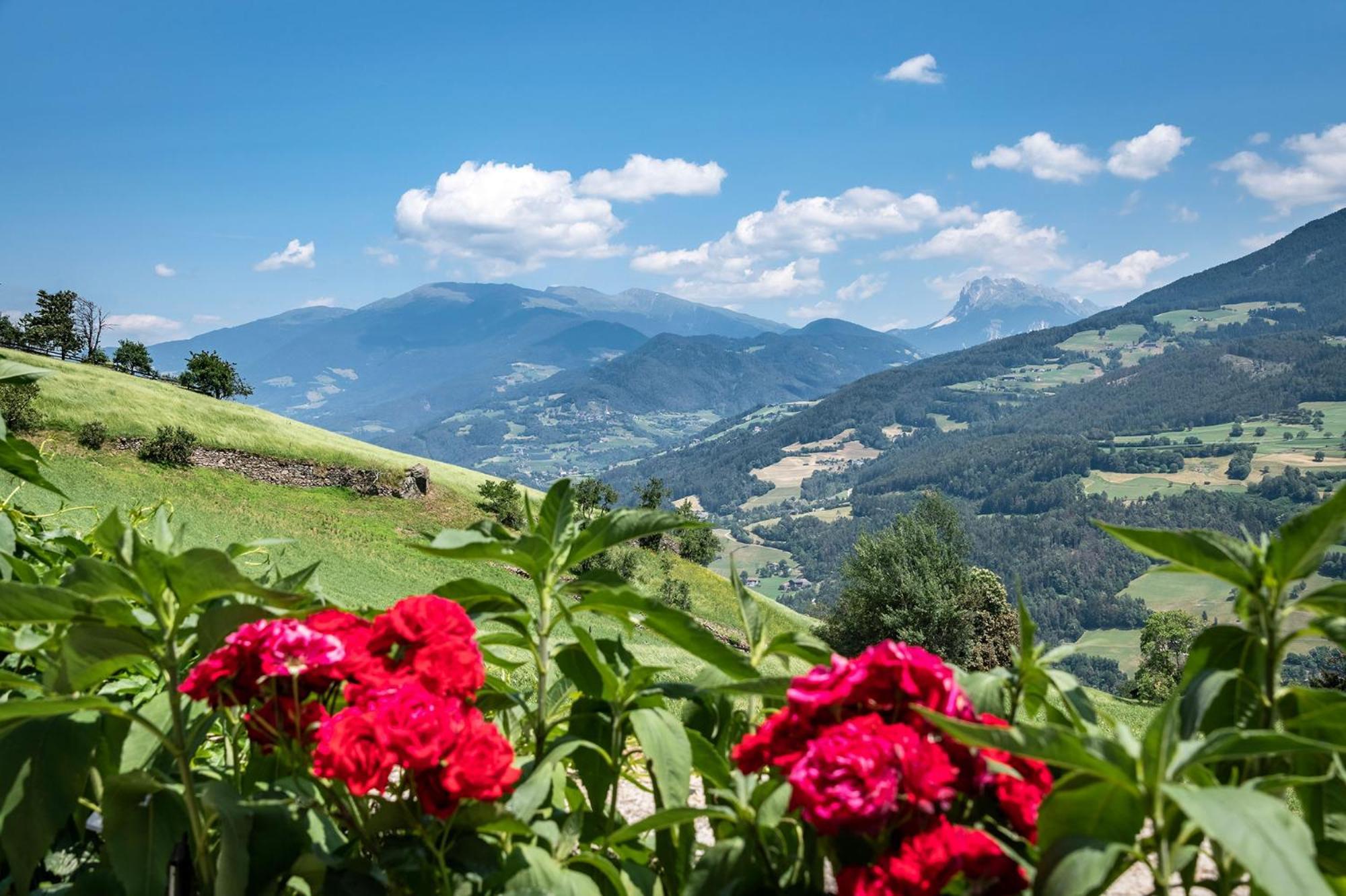 Hauserhof Chalet In Villanders - Moderne Wohnungen Mit 2 Badezimmer Und 2 Schlafzimmer ภายนอก รูปภาพ